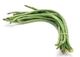Picture of BEAN SNAKE