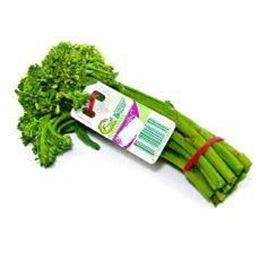 Picture of BROCCOLINI BUNCH