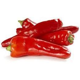 Picture of CAPSICUM BULLHORN RED
