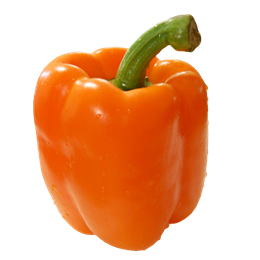 Picture of CAPSICUM ORANGE