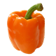 Picture of CAPSICUM ORANGE