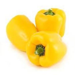 Picture of CAPSICUM YELLOW