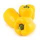 Picture of CAPSICUM YELLOW