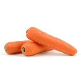 Picture of CARROT ORANGE