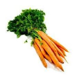 Picture of CARROT ORANGE DUTCH