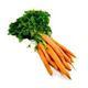 Picture of CARROT ORANGE DUTCH