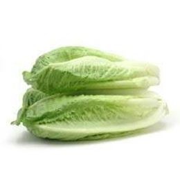 Picture of LETTUCE COS (ROMAINE)
