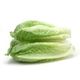 Picture of LETTUCE COS (ROMAINE)