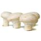Picture of MUSHROOM BUTTON 300G BAG