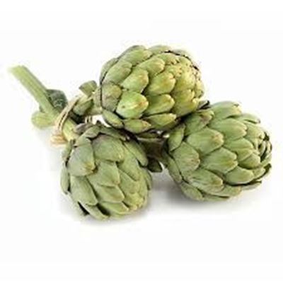 Picture of ARTICHOKE GREEN GLOBE
