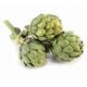 Picture of ARTICHOKE GREEN GLOBE