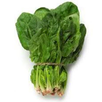 Picture of SPINACH ENGLISH