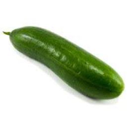 Picture of CUCUMBER LEBANESE