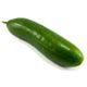 Picture of CUCUMBER LEBANESE