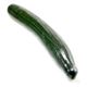 Picture of CUCUMBER TELEGRAPH