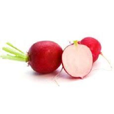 Picture of RADISH RED