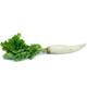 Picture of RADISH WHITE