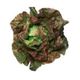 Picture of LETTUCE MIGONET