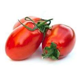 Picture of TOMATO EGG (ROMA)