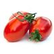 Picture of TOMATO EGG (ROMA)