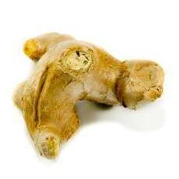 Picture of GINGER ROOT 