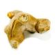 Picture of GINGER ROOT 