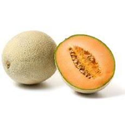 Picture of MELON ROCK LARGE WHOLE