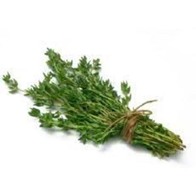 Picture of THYME