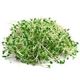 Picture of ALFALFA&ONION