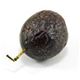 Picture of PASSIONFRUIT