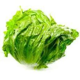 Picture of LETTUCE ICEBERG