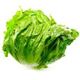 Picture of LETTUCE ICEBERG