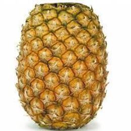 Picture of PINEAPPLE TOPLESS LGE