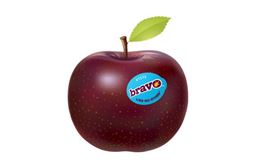 Picture of APPLE BRAVO SMALL