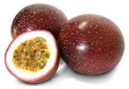 Picture of PASSIONFRUIT PANAMA