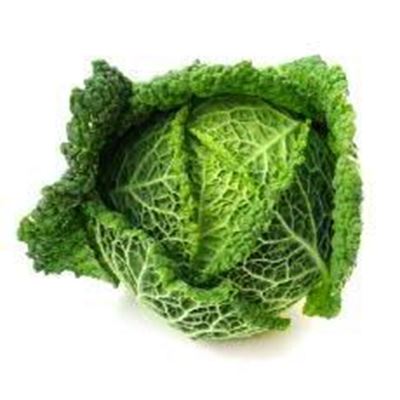 Picture of CABBAGE SAVOY QTR.