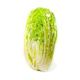 Picture of CABBAGE CHINESE HALF