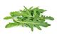 Picture of LETTUCE BABY ROCKET 150G