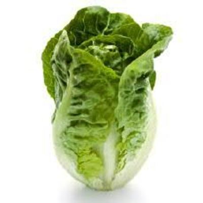 Picture of LETTUCE COS BABY