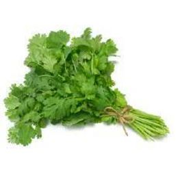 Picture of HERBS CORRIANDER