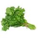 Picture of HERBS CORRIANDER
