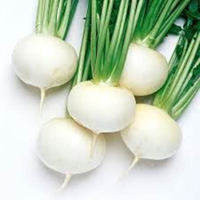Picture of TURNIPS BABY WHITE BUNCH