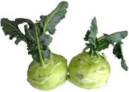 Picture of KOHLRABI PURPLE