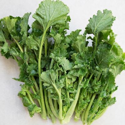 Picture of RAPA BUNCH