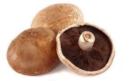 Picture of MUSHROOM PORTOBELLO