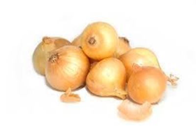 Picture of ONION PICKLING NET